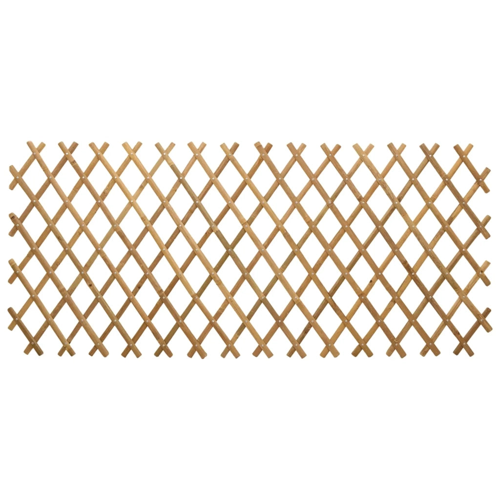 Recinto Trellis Espandibile 2 pcs Marrone Chiaro 100 x 105 cm 42028067