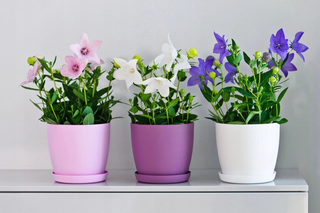 Copertura per vaso da fiori KADAX con supporto, rosa, per soggiorno, 20 cm