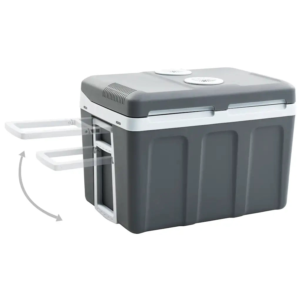 Scatola Termoelettrica Portatile 40 L 12 V 230 V E CFW4390024