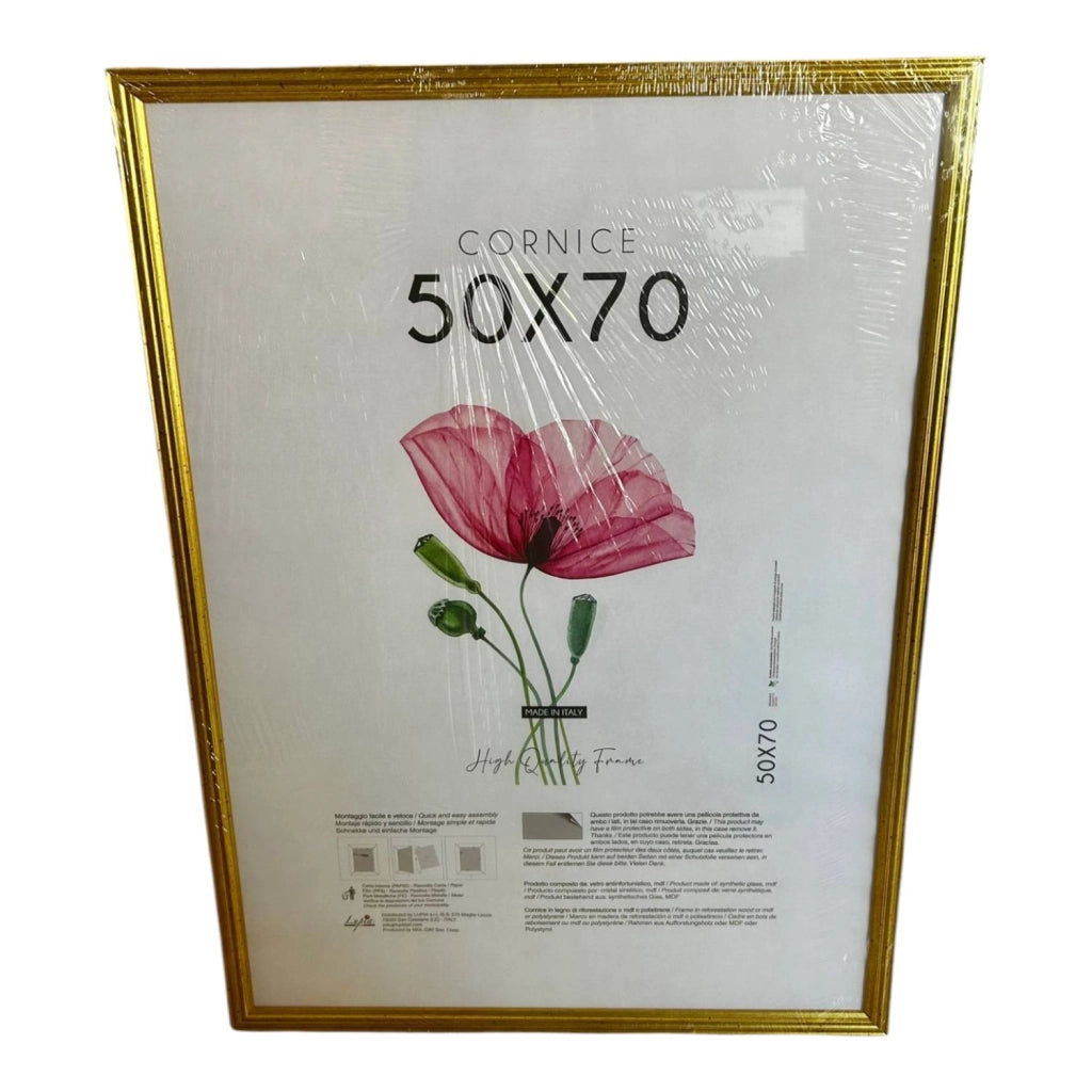 CORNICE LEGNO BLITZ ORO 50X70
