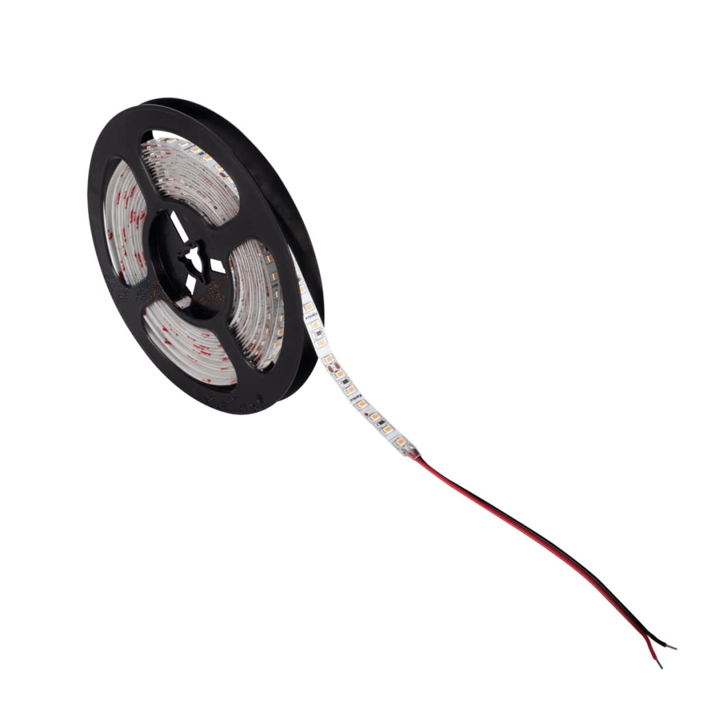 Kanlux striscia LED SMD dimmerabile 5m 80W 24V 3000K