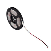 Kanlux striscia LED SMD dimmerabile 5m 80W 24V 3000K