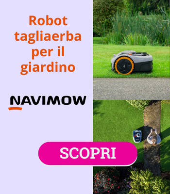 BANNER KEYWORD 2