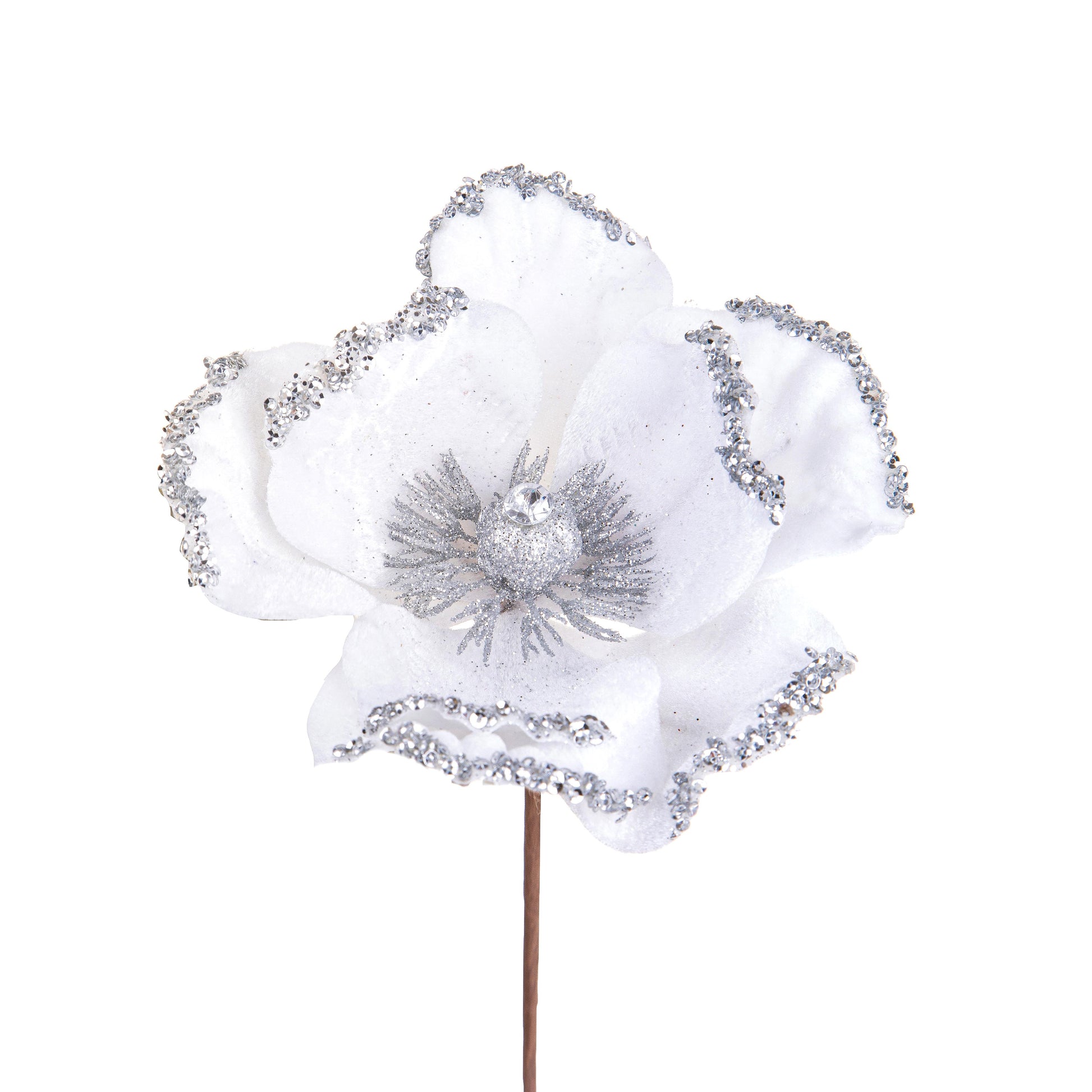 Set 12 Pick Catleia H15 cm Bianco